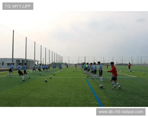 球队如何建立青训人才多元评估体系，足球青训成才比例